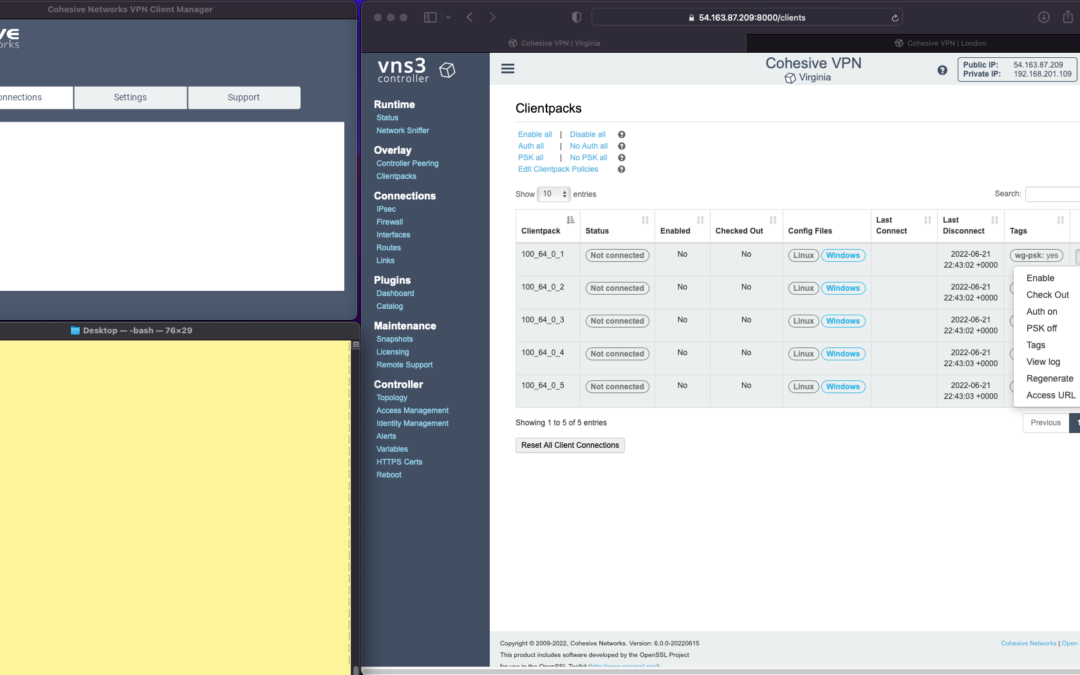 Enterprise WireGuard® with Cohesive VPN Client